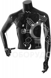 С-13 Торс мужской BASIC, укороченный