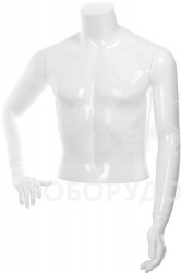 С-13 Торс мужской BASIC, укороченный