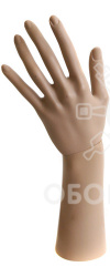 ARM-A Рука (короткая)